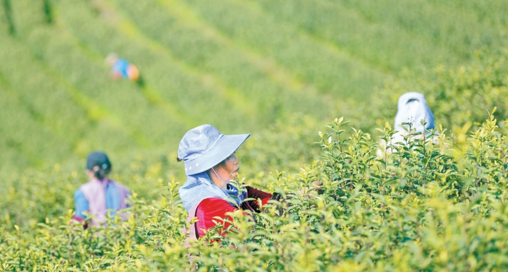 微信截图_20250424080051