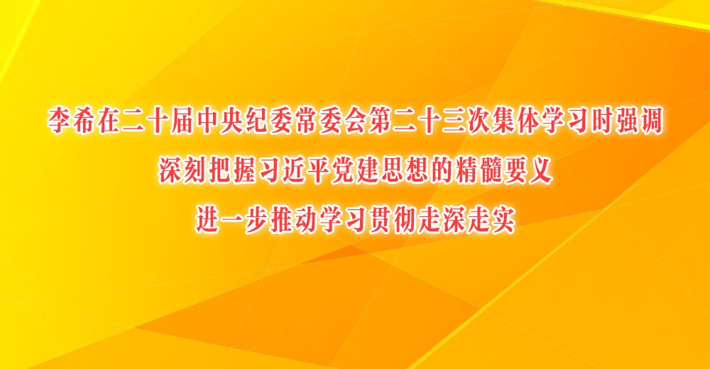 李希在二十届中央纪委常委会第二十三次集体学习时强调  深刻把握习近平党建思想的精髓要义  进一步推动学习贯彻走深走实